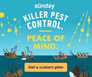 Sunday Pest Control - square